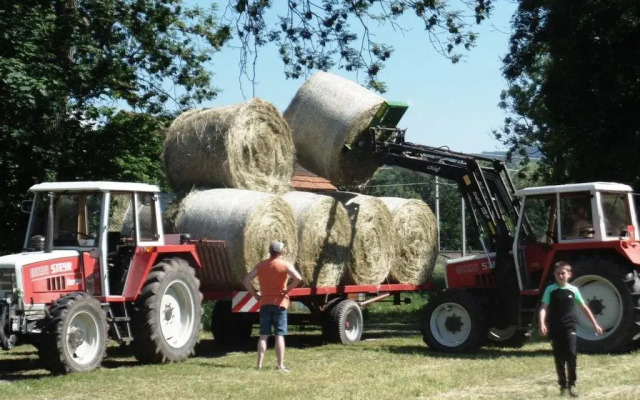 Ferien- Und Ziegenhof Gaferhelm