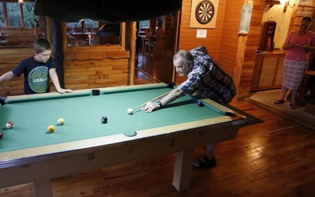 Sycamore Avenue Treehouses