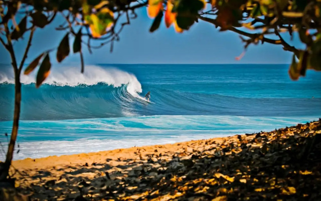 Ocean View 1BR at Ilikai Marina