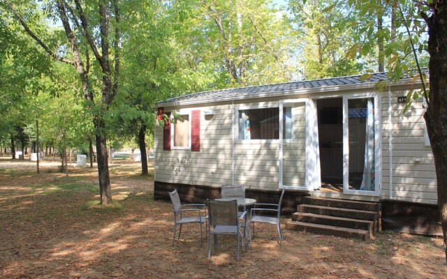 Camping La Fundición