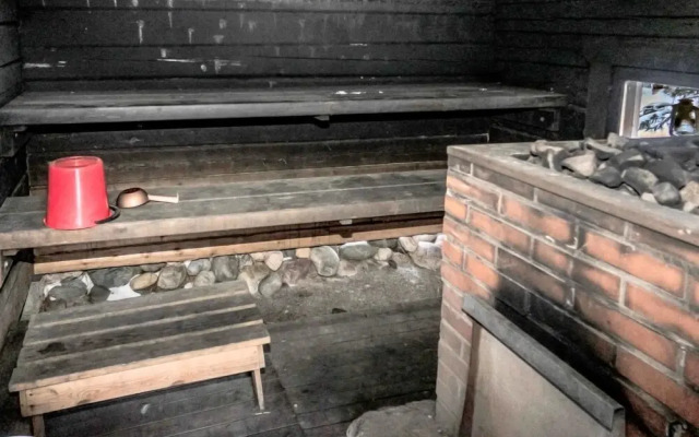 Koivu Vesala in Vesala