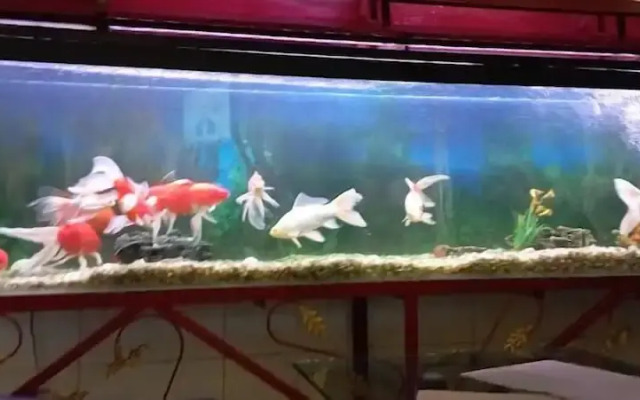 Red Onion Hotel & Restaurant