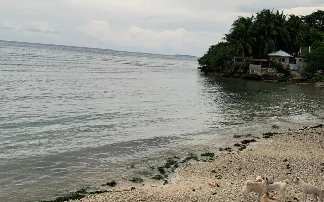LUNA OSLOB TRAVELLERS INN - Beach Front