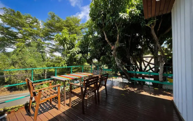 Little Ryukyu Hermit Crab Homestay