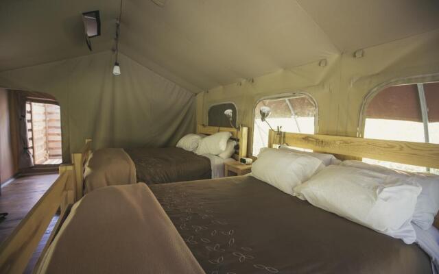 Long Point Eco-Adventures