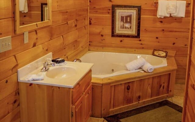 201 Southern Charm - 4 Br Cabin