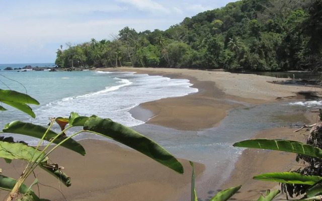 Jonny's cabins drake day