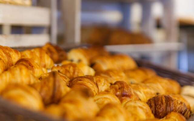 Appartements Montaigne