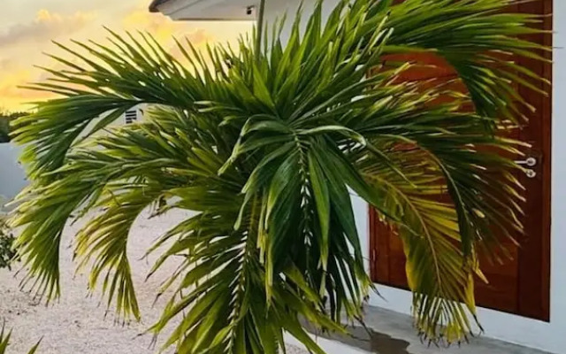 Villa Milamor Curacao - Harmonie, Grote Berg