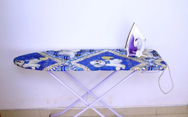 Gandhi Guest House & White Palace