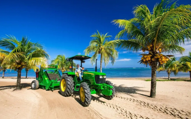 Lawson Rock Yellowfish 210