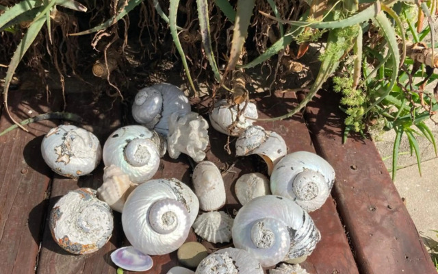 Rondawel with sea view