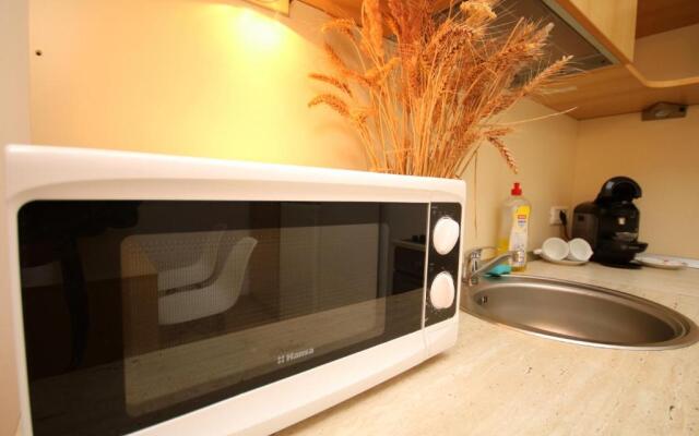 Apartament Confort Timisoara