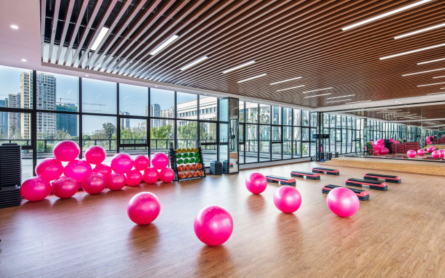 Howard Johnson New District Plaza Ziyang