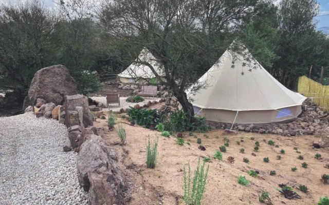 Pasare Glamping