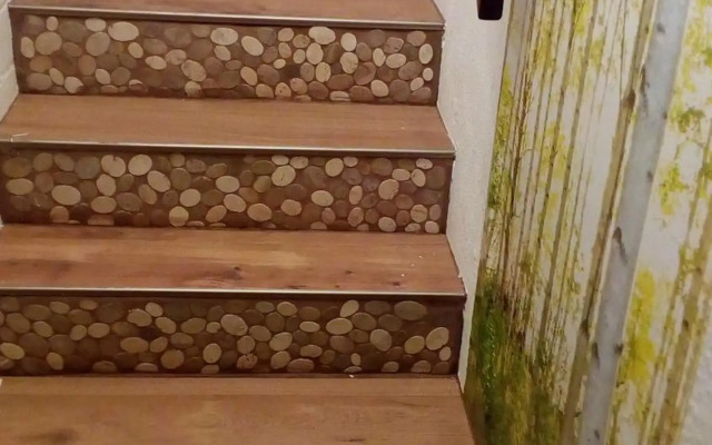 2 Raum Ferienwohnung Sonnenschein