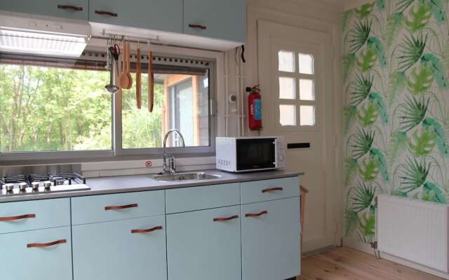 Cosy Holiday Home In Loosdrecht With Pool