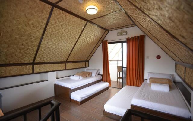 Nalu Surf Camp