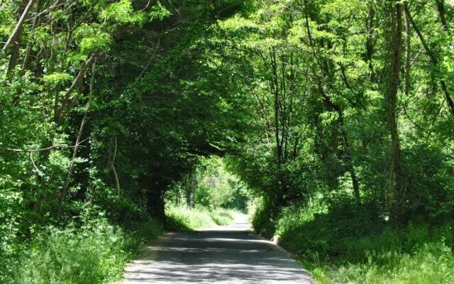 Mozzanella Holiday Home in Garfagnana
