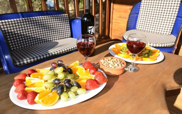 Baharoglu Life House Faralya
