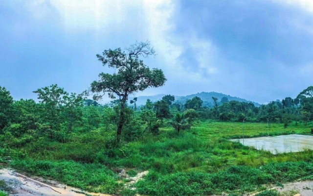 The Windchimes Retreat