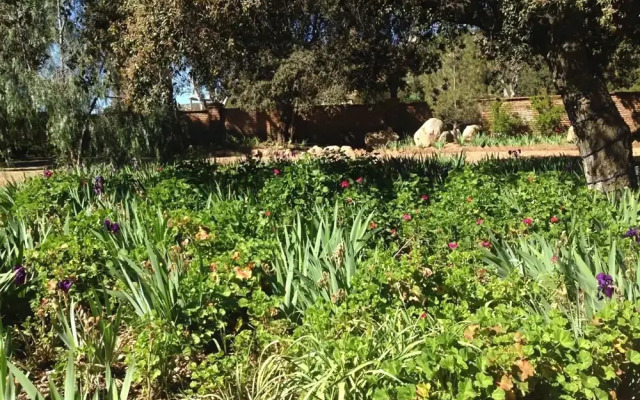 Casa Caracol Tecate