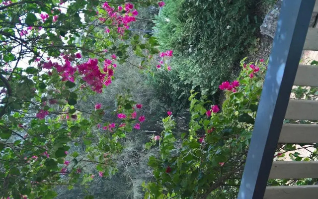 Linley House Bed & Breakfast Sydney