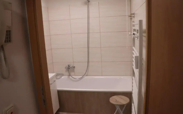 Ferienwohnung Harz Hohegeiß App 424