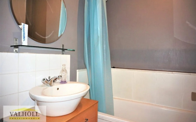 Reykjavik Center Condos