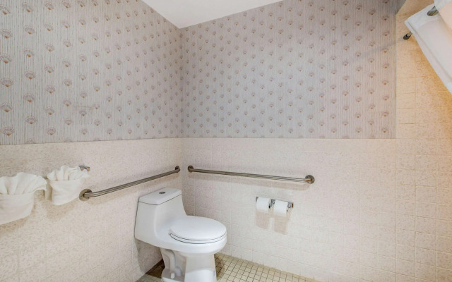 Comfort Inn Mount Shasta Area