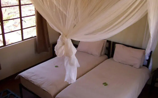 Etosha Safari Lodge