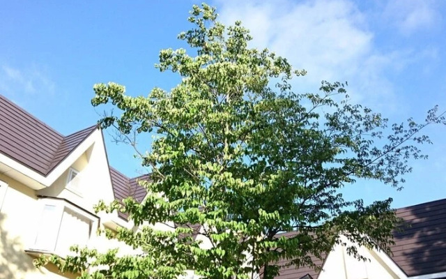 Lake Side Inn Baked Potato