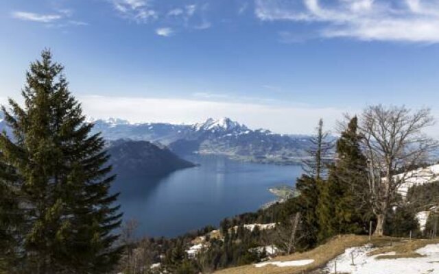 Hotel Rigi First