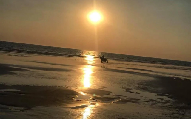 Domaine des Z'Ailés Les Roulottes