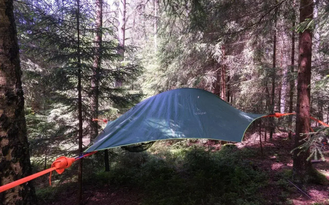 Baumzelt im Wald
