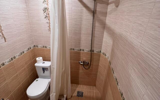 За околицей