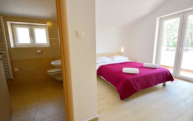 Apartment Tea Krk/Klimno 41743