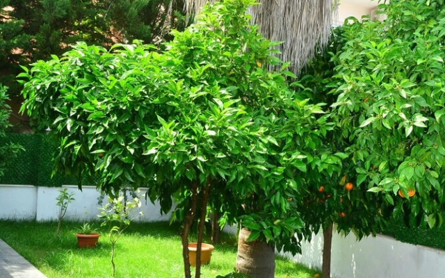 Hotel Rafael Restaurant