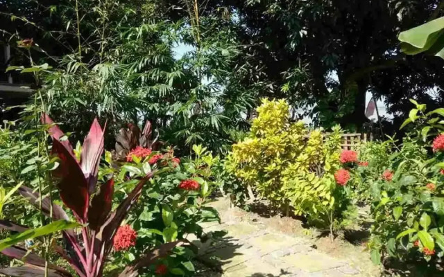 Salay River View Inn