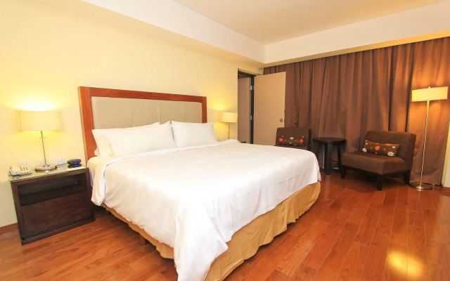 Holiday Inn Leon by IHG