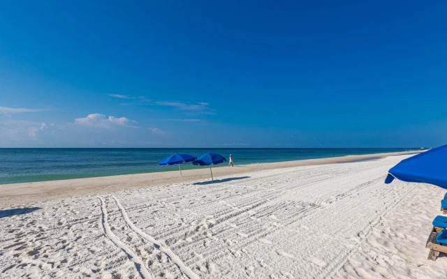 Phoenix V by Brett/Robinson Vacations