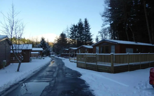 Lewis Lodge