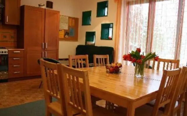 Elephant On The Moon