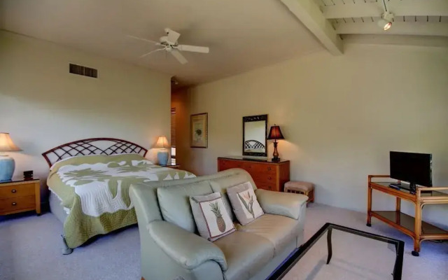 Kapalua Bay Villa 12g5 Ocean View