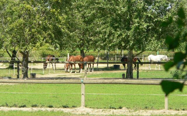 Agriturismo San Francesco