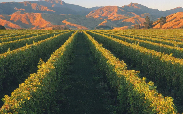 Marlborough Vintners Hotel - Heritage Collection