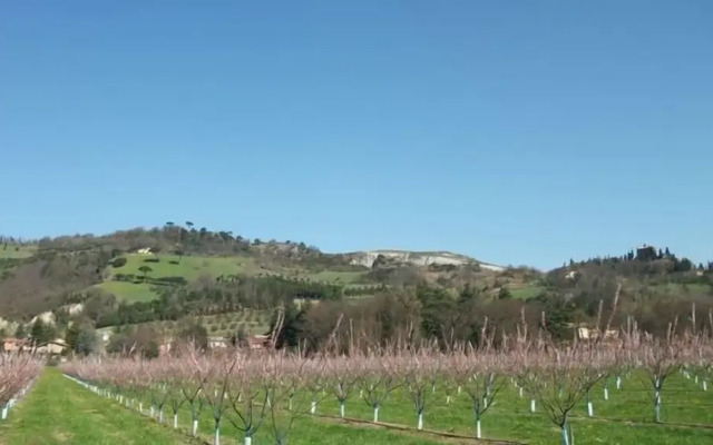 Verdidea - Podere la Casetta