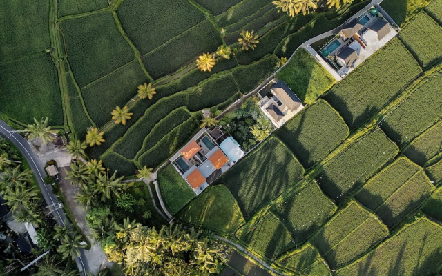 Green Weca Ubud Villa