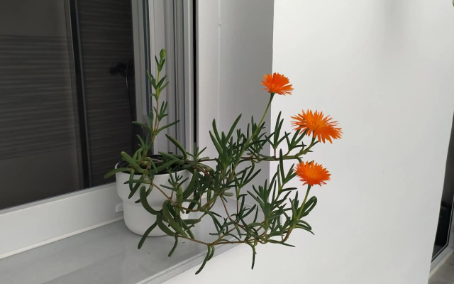 Iulia Emérita Aparcamiento gratis