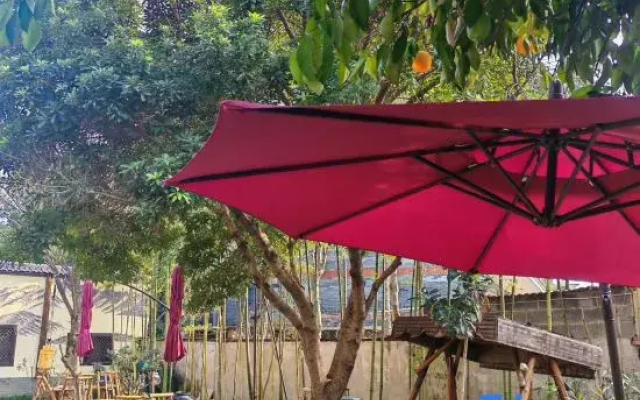 Mogan Mountain Bamboo House Yard